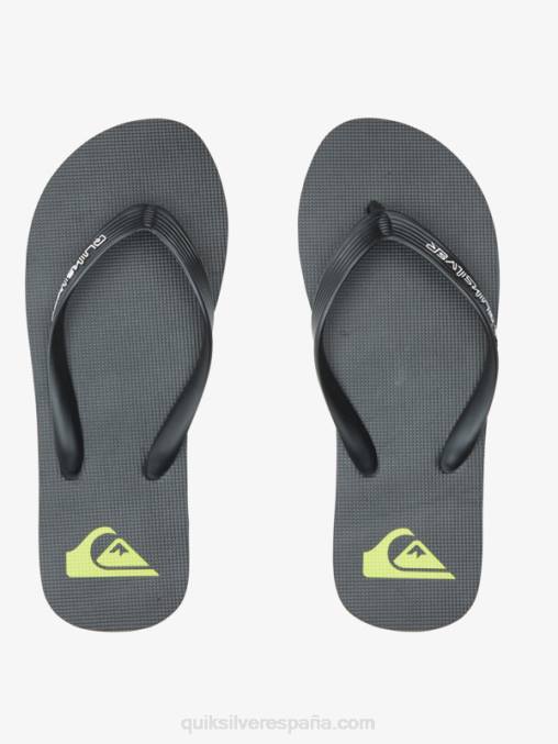 negro chanclas molokai core D6T4D595 hombres Quiksilver